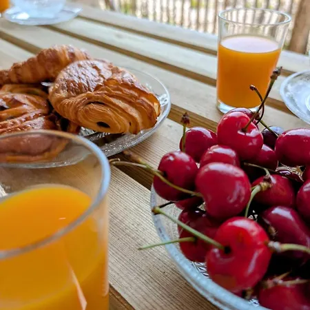 Bel Appartement, Jardin Et Terrasse , à 800 Mètres Du Port De *