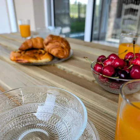Bel Appartement, Jardin Et Terrasse , A 800 Metres Du Port De