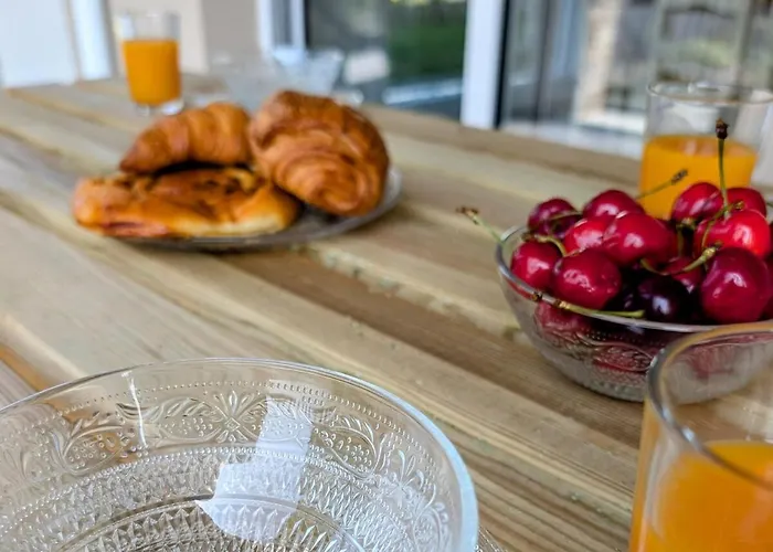 Bel Appartement, Jardin Et Terrasse , A 800 Metres Du Port De